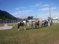 Macacu Idosos: caminhada + visita ao Parque de Exposição