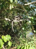 ATI Idosos Caxias: passeio Bosque da Barra