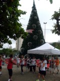 Natal 2014: Concha Acústica inauguração árvore de Natal