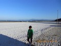 Núcleo 5 Praia Sepetiba: Caminhada Ecológica