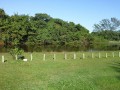 ATI Idosos Caxias: passeio Bosque da Barra