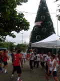 Natal 2014: Concha Acústica inauguração árvore de Natal