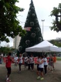 Natal 2014: Concha Acústica inauguração árvore de Natal