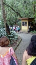 ATI Recanto do Trovador/Vila Isabel: passeio Floresta da Tijuca dez. 2014