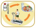 Duas refeições ao dia pode ser melhor para diabetes tipo 2